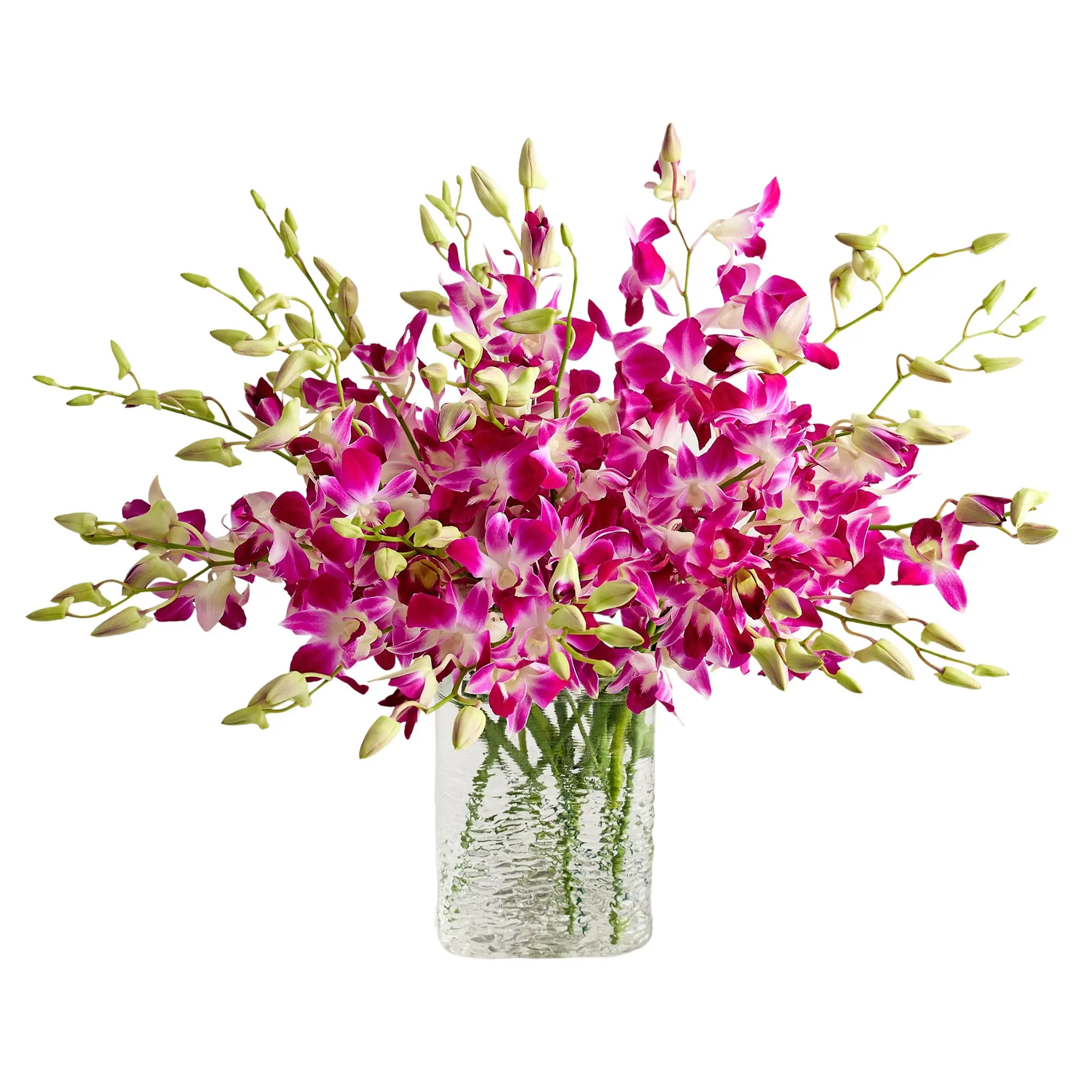 1800 Flowers – 20 Stem Exotic Breeze™ Orchids with Clear Vase 1800 Flowers – 20 Stem Exotic Breeze™ Orchids with Clear Vase
