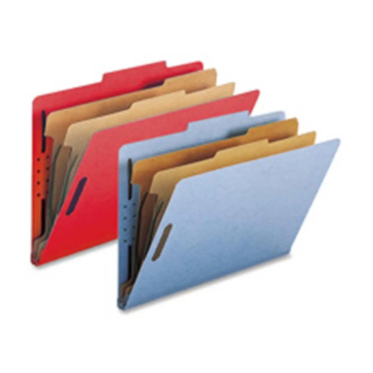 Nature Saver NATSP17228 Classification Folders- w- Fstnrs- 2 Dvdrs- Legal- DBE