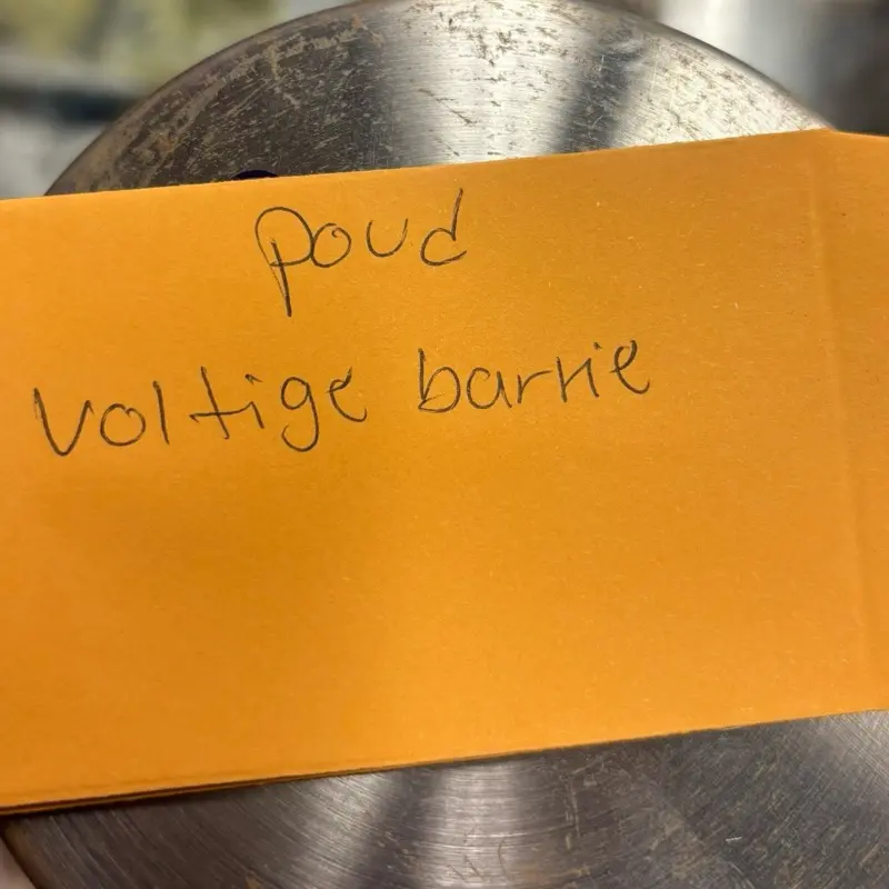 Haitian Poud-Voltige Bargier Powder for Spiritual Magic Use