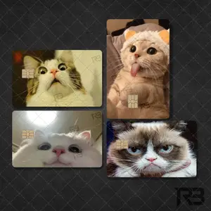 Funny Cat Horrified Shocked Meme Sticker Cover for Debit Card or Credit Card