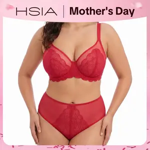 HSIA Mermaid Scales Lace Sheer Mesh Back High-Rise Brief Underwear Matching Panty