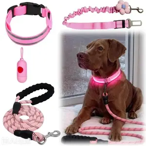 4pcs Dog Night Walking Collar & Leash Set, USB Rechargeable LED Collar, Night Visibility, Harness, Poop Bag Dispenser, Ideal for Training Aid, Hiking, Outdoor Activities, Medium Dogs