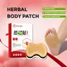 15-Kinds Chinese Medicine Botanical Extract Thermal Warm Patches - 10 Pieces/Box Self-Heating Compresses, Acupoint Support, Daily Balance Support, Buy 1 Get 1 Free Safe Daily Use