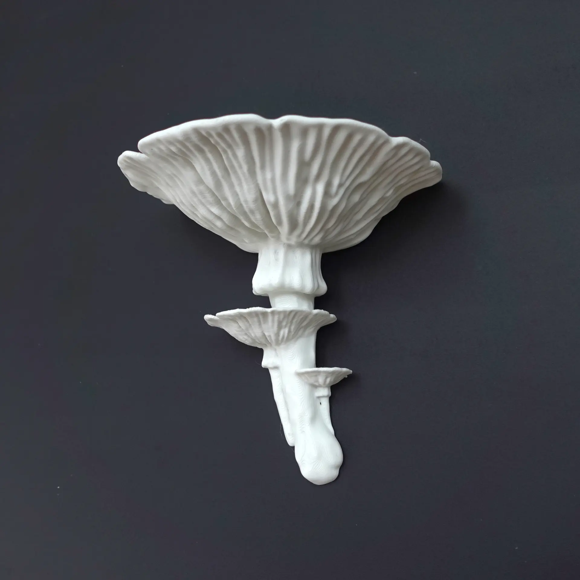 Amanita Fungus Mushroom Shelf designed by Gazzaladra with Cottagecore/Fairycore aesthetic Decor Shelves