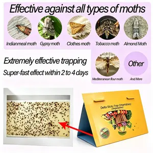 10 Pack Clothes Moth Traps Safe and Effective for Food and Clothing- Glue Traps with Pheromones for Wool Closet Carpet Food and Cupboard,Pantry Moth Trap
