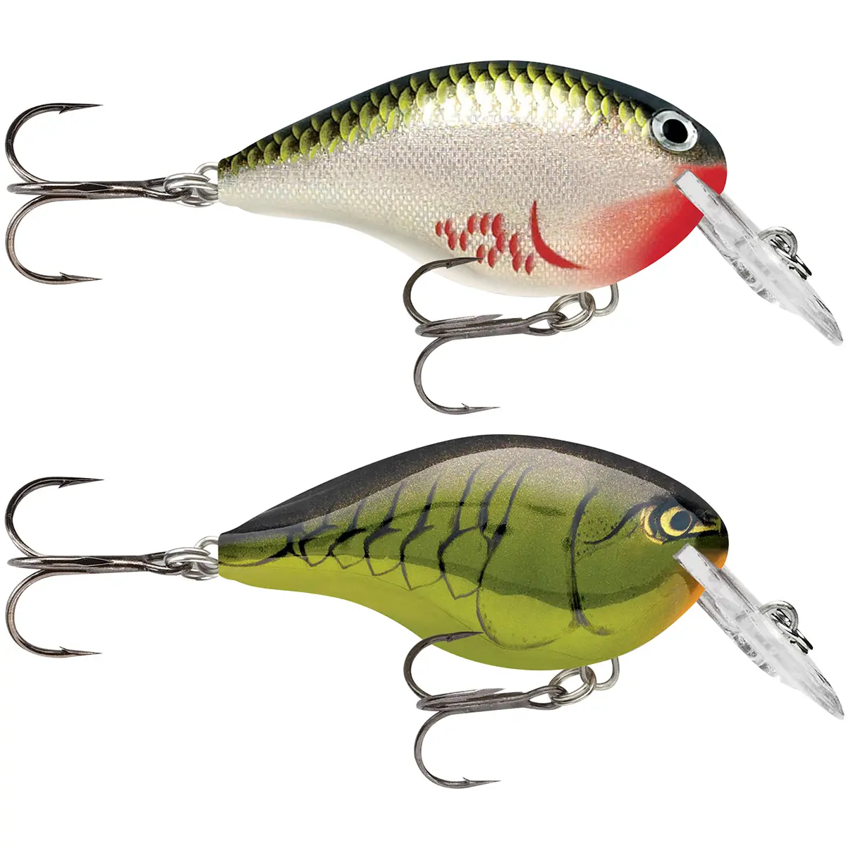 Rapala Dives-To (DT06) Balsa Wood Crankbait Fishing Lure, 2 in - Side-to-Side Action, Dives 6 ft to Stay in The Strike Zone Longer, 6 Feet