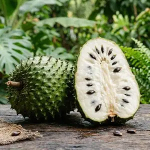 Organic Soursop (Graviola) Seeds – 30pcs Non-GMO Heirloom Tropical Fruit seeds