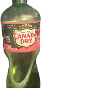 Canada Dry Strawberry Ginger Ale Fruit Splash Caffeine Free 20 Fl Oz 591 mL(3) for 12
