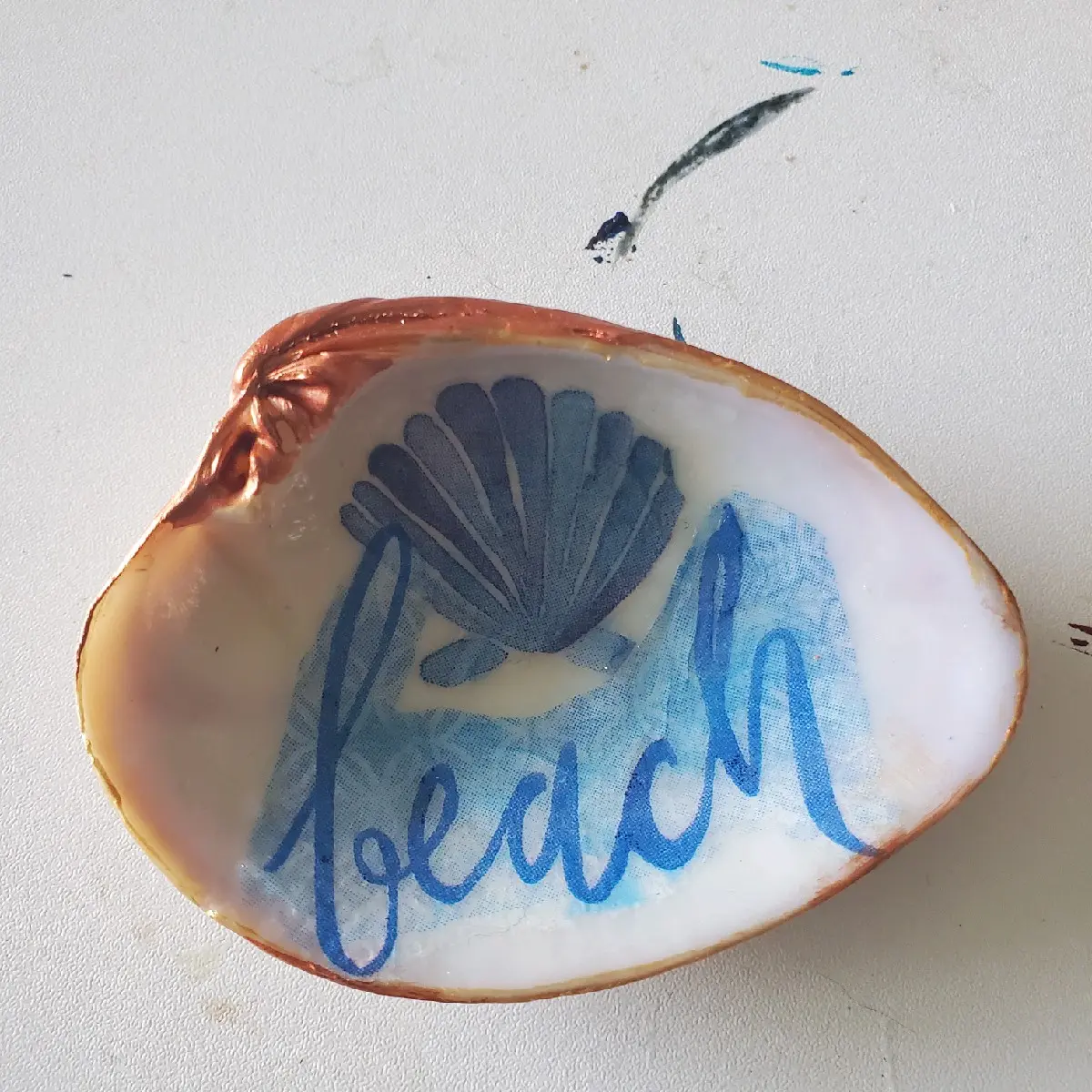Beach handmade clamshell art trinket Handmade Handmade Sculpture