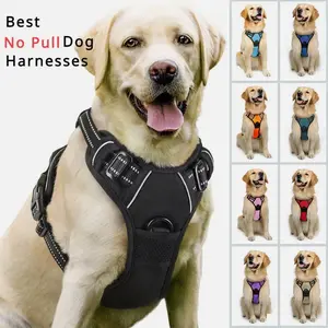 Rabbitgo Dog Harness No-Pull with 2 Leash Clips Adjustable Pet Vest Reflective