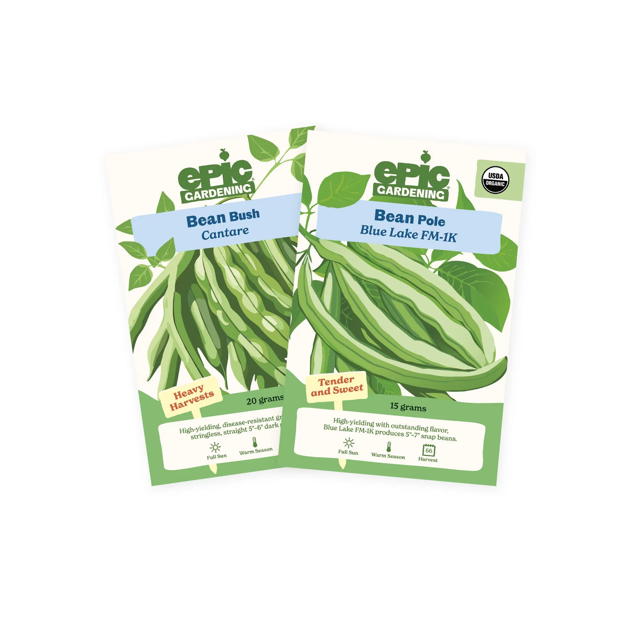 Bean 2-Pack Bean 2-Pack