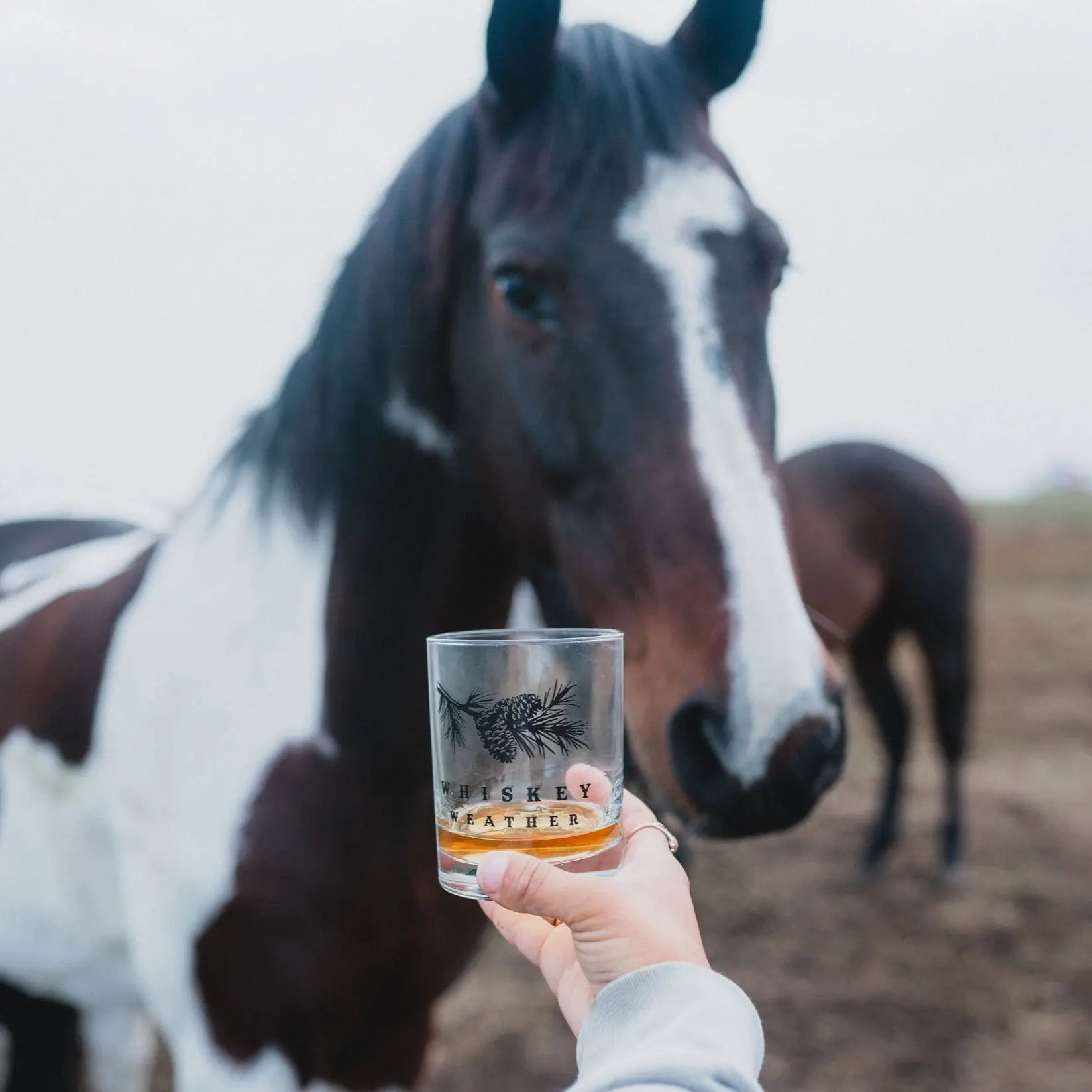 Whiskey Weather - Rocks Glass