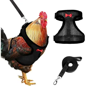 Chicken Harness with Leash, Upgraded Double Adjustment Chicken Harness and Leash Set for Hens, Duck, Goose, Small Pet (Black, L)