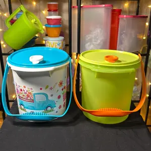 Tupperware Easy Go Bucket