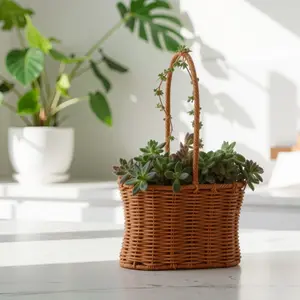 Soilless Succulent Cuttings Basket – Small Gift Size,Living Succulent Floral Basket, No Soil, No Mess,Minimal Care Decorative Plant