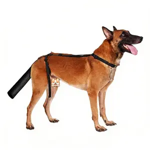 Dog Tail Protection Cover Prevent Biting Avoid Secondary Injuries for Golden Retriever Labrador Border Collie Recovery Tool