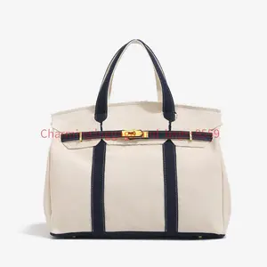 Canvas Platinum Bag for Women 2025 New High-End Niche Design Color-Block Handbag Large Capacity Commuter Versatile