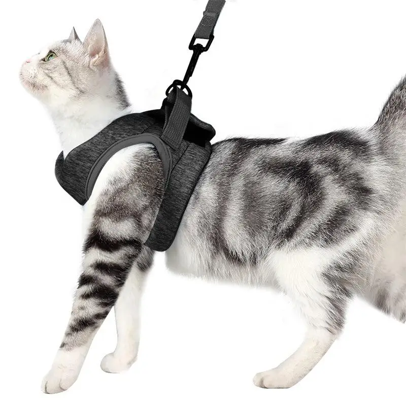 Adjustable Cat Harness with Leash, 1 Set Breathable Comfortable Pet Chest Strap & Nylon Leash, Pet Supplies for Outdoor Walking, Cat and Dog Accessori