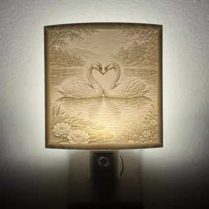 Swans on Lovers Lake Nightlight