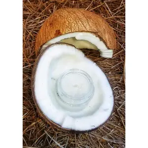 Cool Coconut Lippie Scrub
