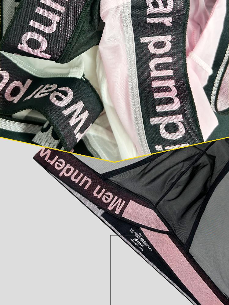 Men's Briefs Transparent Mesh Summer Ultra-thin Underpants High Cut Male Briefs Bikini Underwear Seamless Lingerie See Through Low Rise