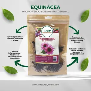 Echinacea Herb Premium 4 oz Herbal Tea Bag - Supports Immune Health, Naturally Caffeine-Free, Aromatic Herbal Infusion, Promotes Healing