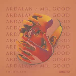 Ardalan - Mr. Good - The Remixes  [12-INCH SINGLE VINYL RECORD]