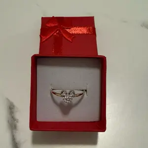 Ring mickey