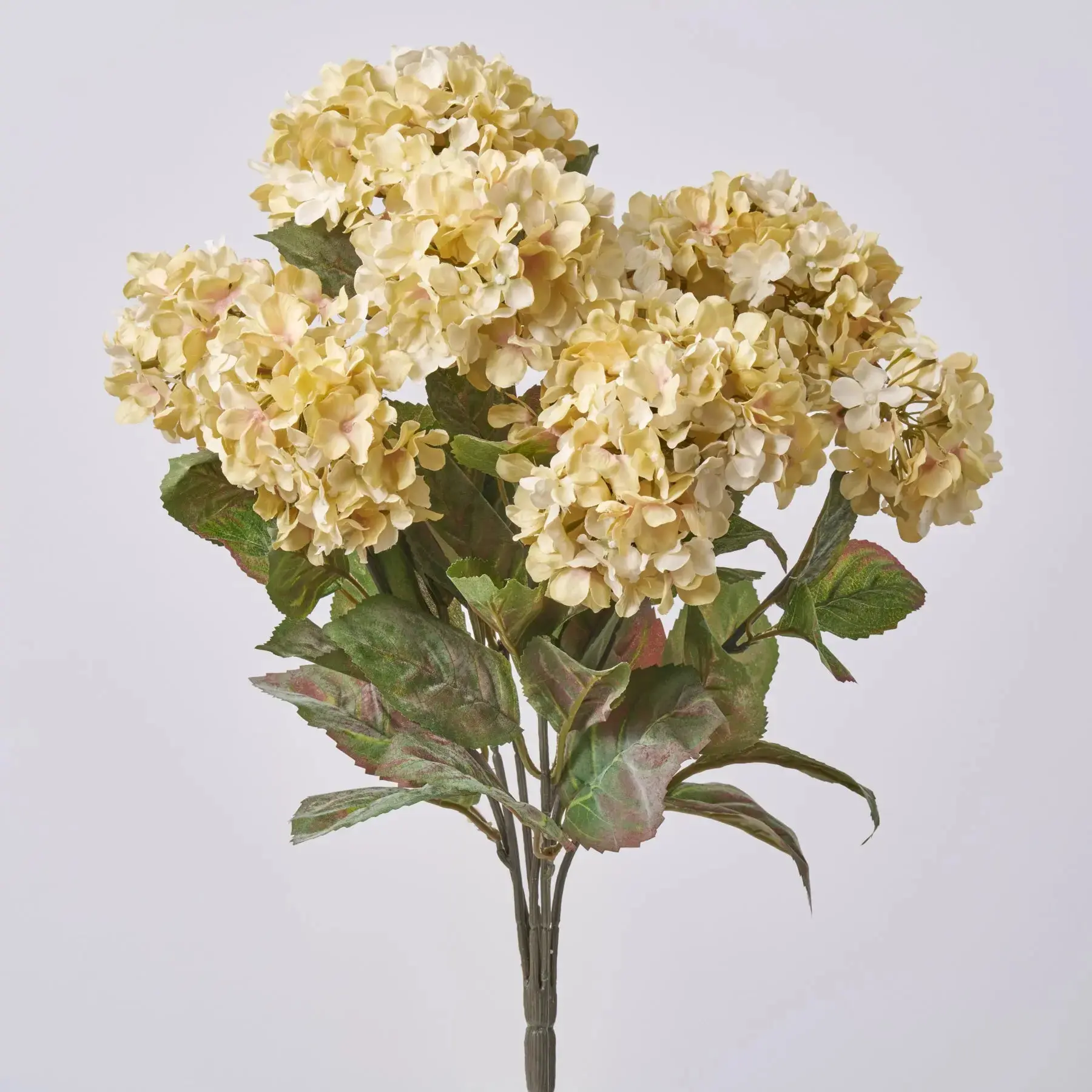 20in Height Cream Beige Silk Hydrangea Flower Bush - Bendable Bouquet with Leaves, Modern All-Seasons Artificial Coastal Home Decor Accent, Leaf