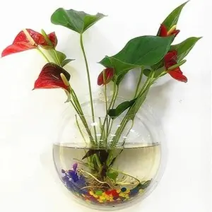 Wall-Mounted Fish Bowl for Home Decor and Plants or Flowers