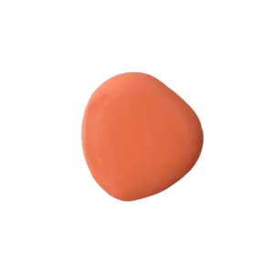 Salmon - Farmhouse Finishes Safe Paint