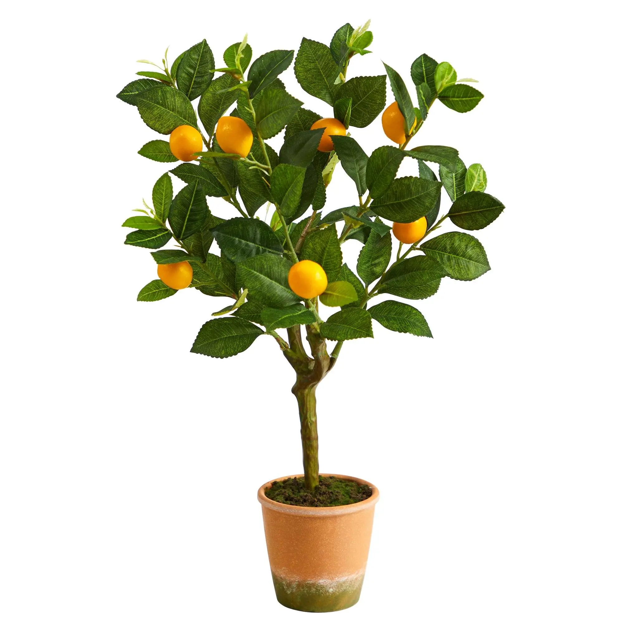 24-in Synthetic Artificial Lemon Fruit Plant with Leaves, Decorative Home Supply for Room Decor, Kitchen, Dining Room, Leaf