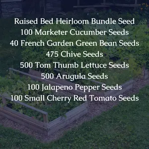 Raised Garden Bed Heirloom Seed Bundle - 100 Marketer Cucumber, 40 French Green Bean, 475 Chive, 500 Tom Thumb Lettuce, 500 Arugula, 100 Jalapeno, 100 Cherry Tomato Seeds