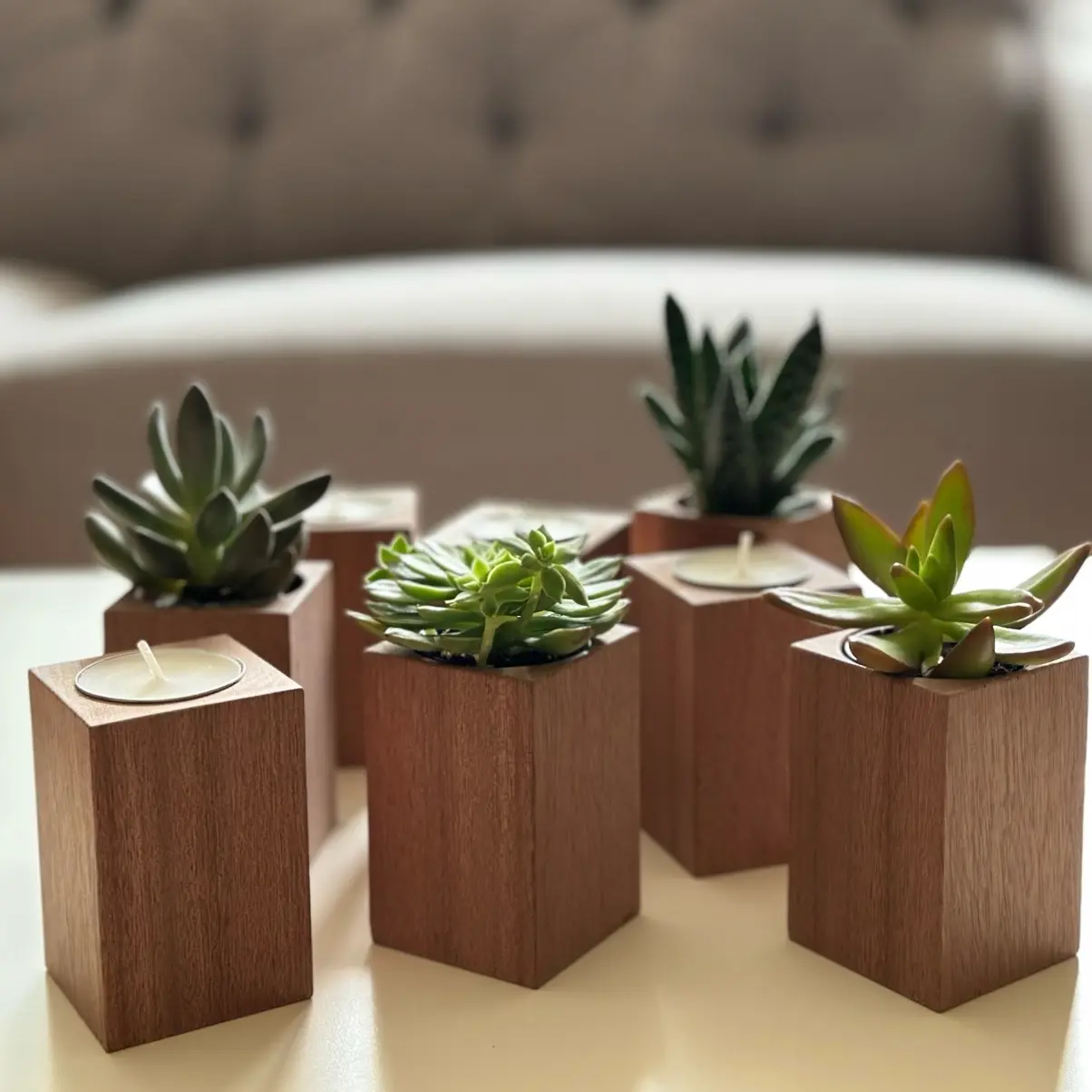 Handmade 2-in-1 Wooden Succulent Tealight Holder, Raw Finish