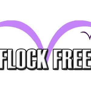 Flock Free Bird Control