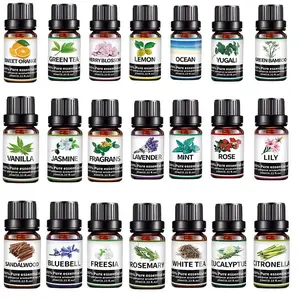Organic Essential Oil, 40pcs/set Mint, Rose, Lavender & Rosemary Essential Oil, Multi-purpose Massage Oil for Skin & Hair Care, Body Care Product for Women & Men