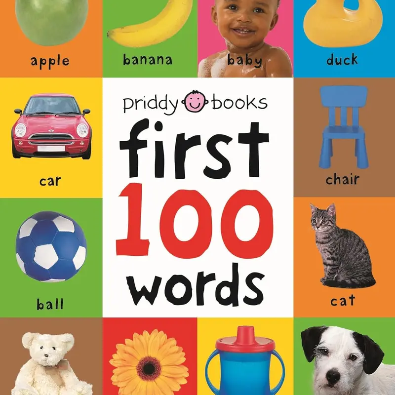 First 100 Words: A padded board book Board book