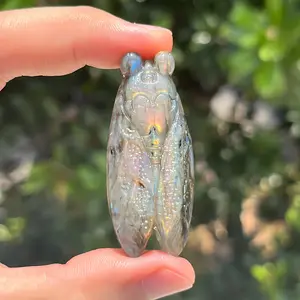 Strong Flash Labradorite Cicada Carving High Quality Natural Healing Crystal Gorgeous Stone Gemstone Jewelry Energy Love Girlfriend Boyfriend Souvenir Valentine Anniversary New Year Christmas Halloween Birthday Gift