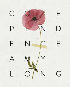 USED-Codependence by Long, Amy (Paperback)
