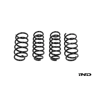 Evolve I01 i3 / i3S Lowering Springs