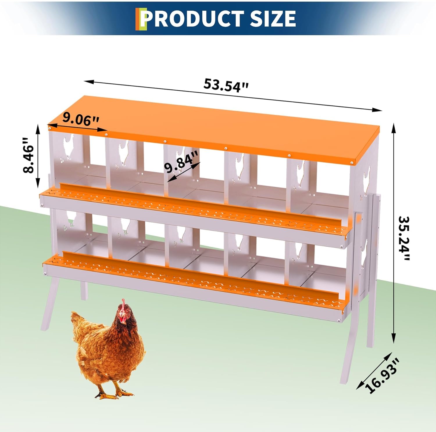 Galvanized Chicken Nesting Box, Roll Away Egg Collection, Rustproof Hen Laying Boxes with Legs, Ventilated & Easy Install, Premium Poultry Nest for Chicken Coop/Duck House + Fake Training Eggs
