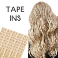 #16/22 Light Blonde Highlighted Golden Blonde