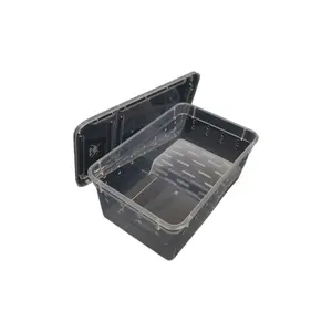 Plastic Small Turtle Tank with Basking Platform Decorative Pet Turtle Tank Brazilian Turtle Breeding Box Amphibious Box with Lid