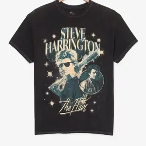 Steve Harrington The Hair Distressed T-Shirt, Vintage Eddie Munson Fan Tee
