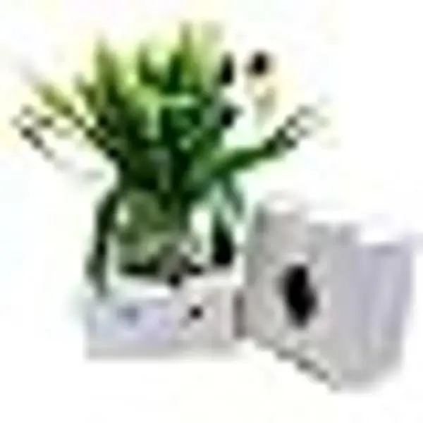 Cardboard Delivery Boxes for Flower Delivery, Vase Cardboard Boxes for Florist Delivery (10)