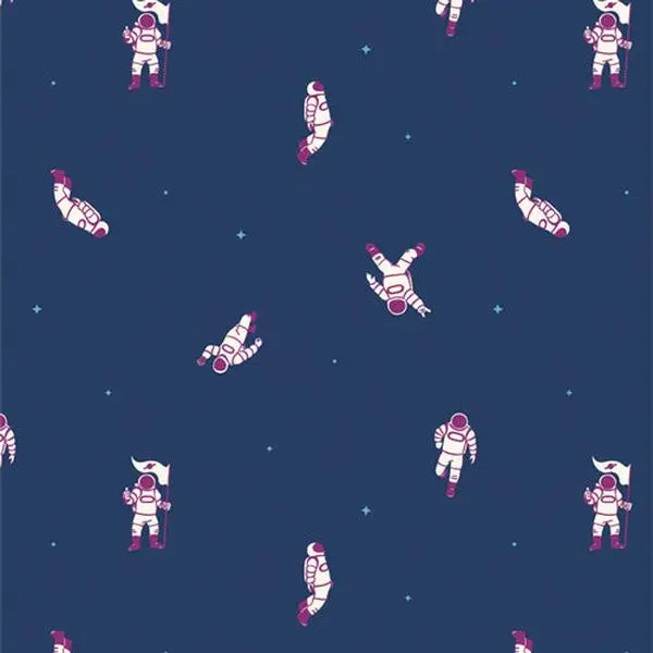 Fabric Art Gallery Zero Gravity Rocket Science by the Quarter Yard RKS-95412