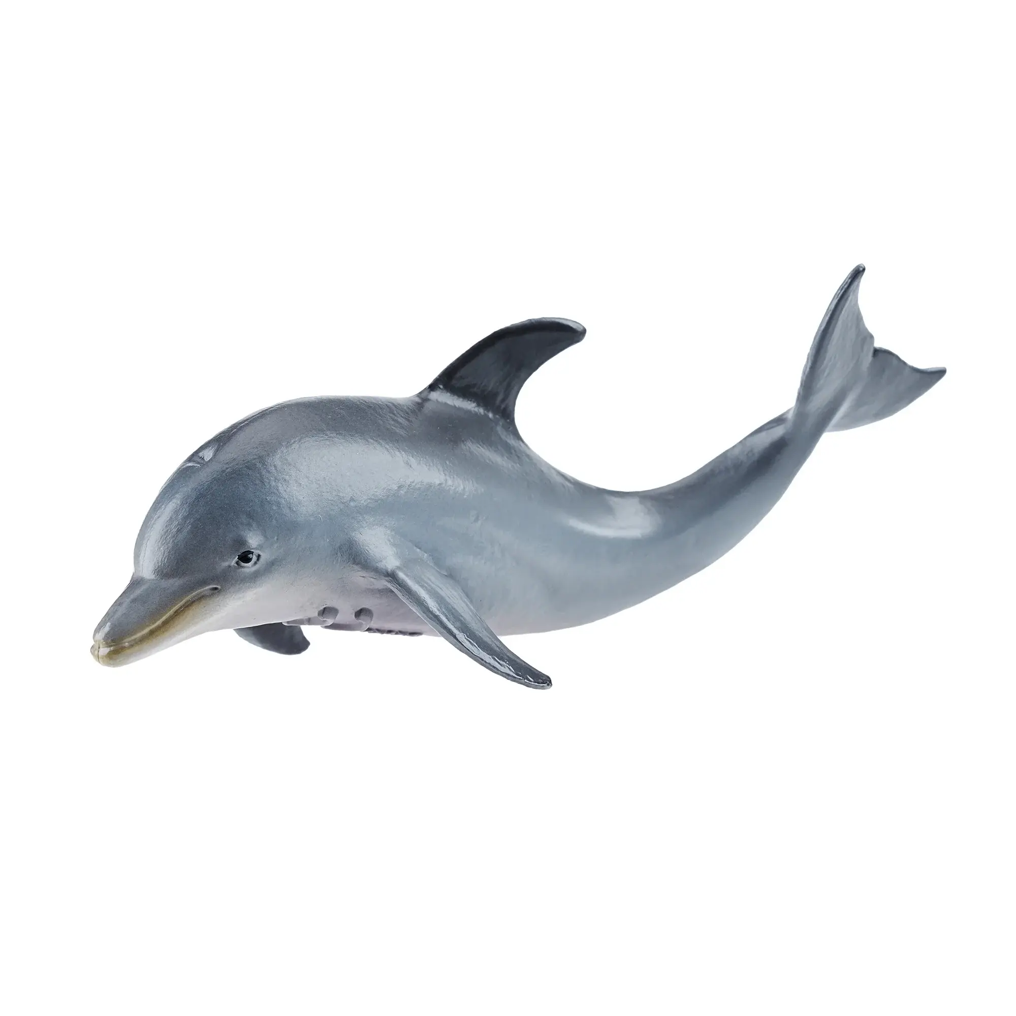 Toymany Hand-Painted Plastic Dolphin Calf Figurine - Small Realistic Animal Model, Ideal for Early Education, Montessori Sensory Play, Collectible Gift for Enthusiasts