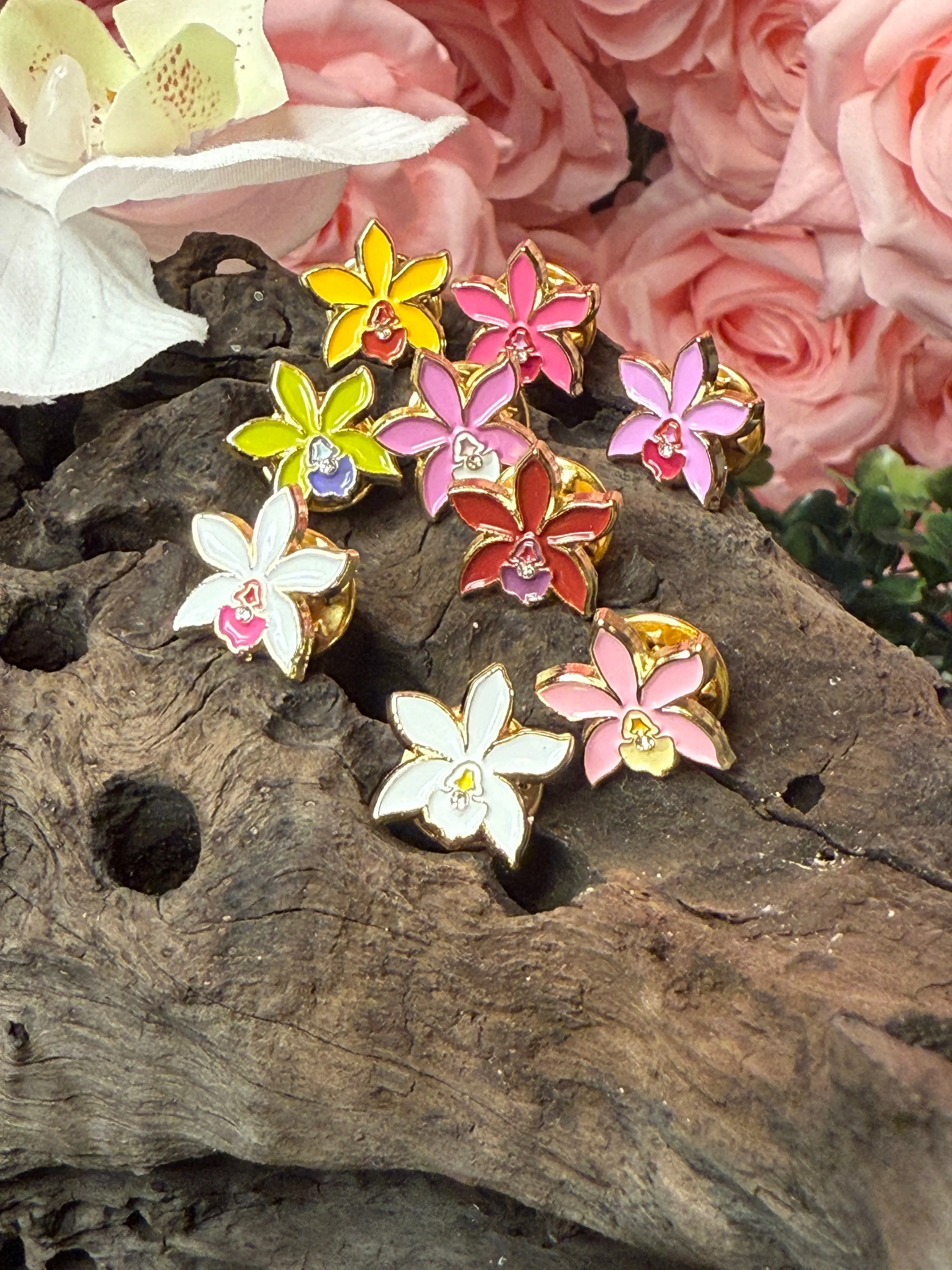Mini Pins Cattleya Orchid Pin Collection