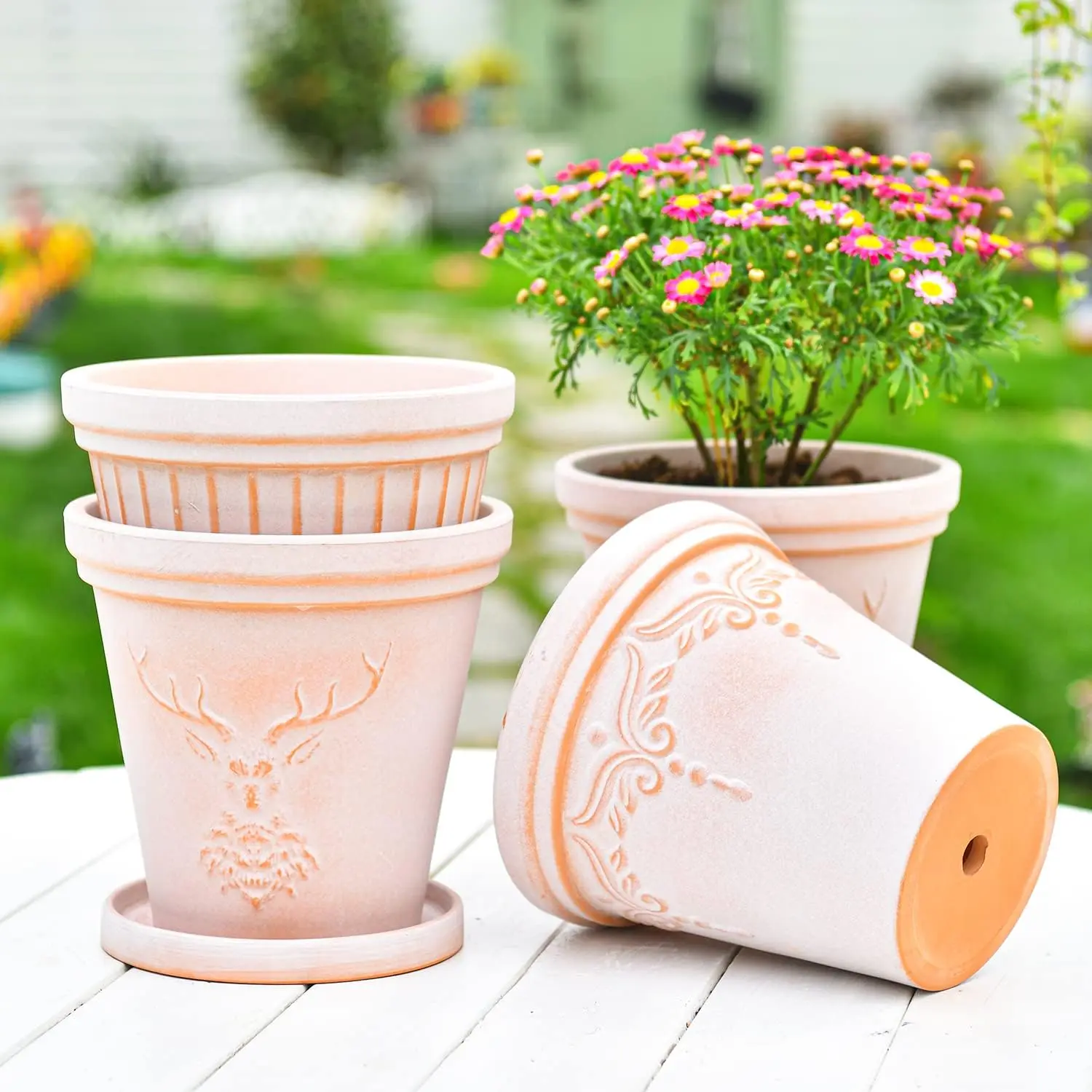 Set of 3 Terra Cotta Pots With Saucer & Drainage Hole - 8 Inch Large & Deep Clay Planters,  Embossed & Pretty Color Pottery for , Orchid, Cactus, Succulent