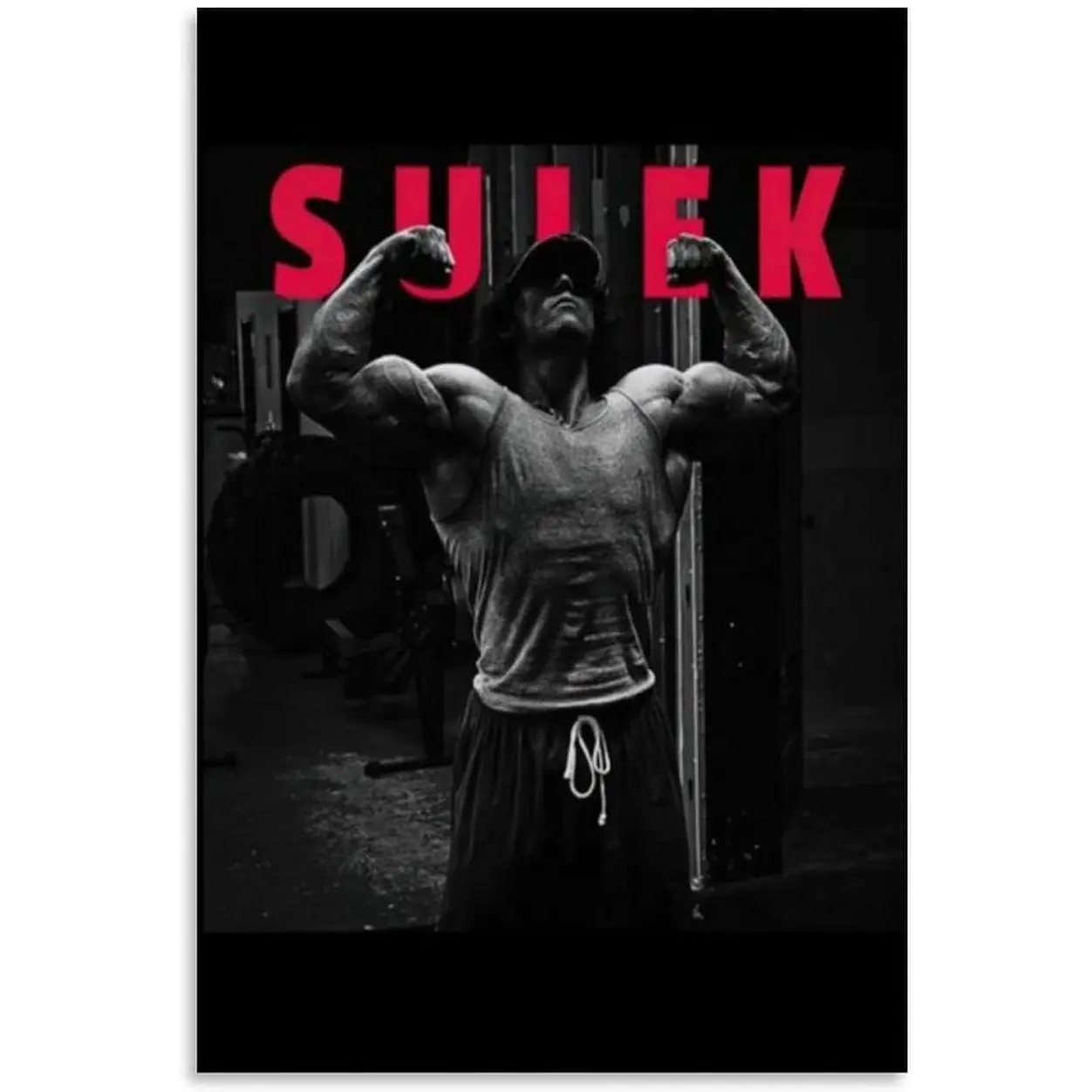 Sam Sulek Artistic Graphic Print Canvas Poster - Waterproof Motivational Fitness Quote Painting, Landscape Motivational Decor, Home Wall Art for Living Room, Kid Room Gifts